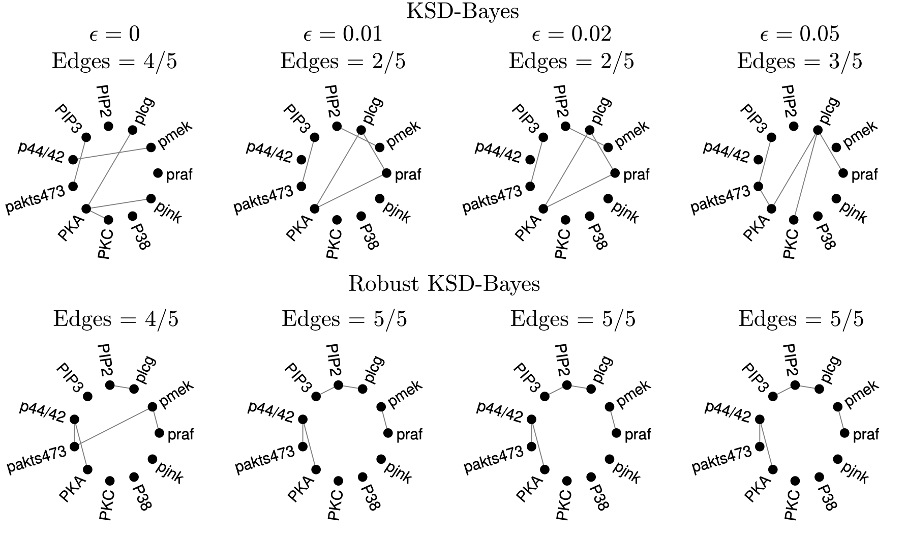 Robust Bayesian Estimation of Protein Signalling Networks